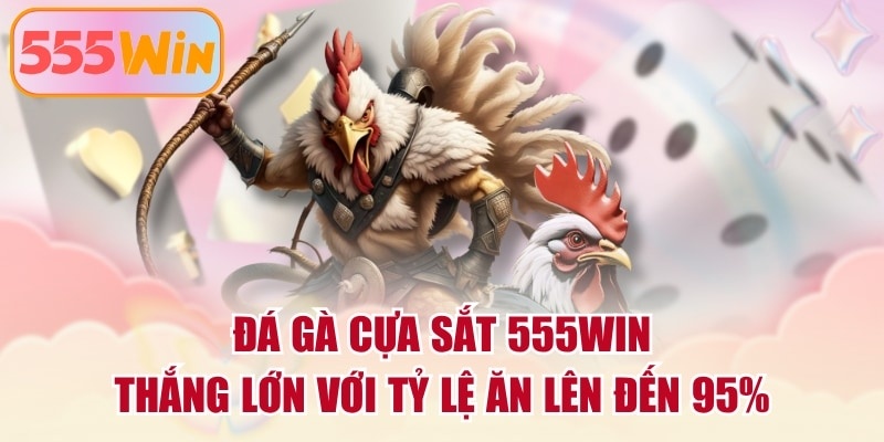 Đá Gà Cựa Sắt 555WIN - Thắng Lớn Với Tỷ Lệ Ăn Lên Đến 95%